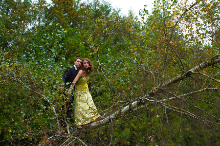 Couple stands carefully on the tree's branchの写真素材