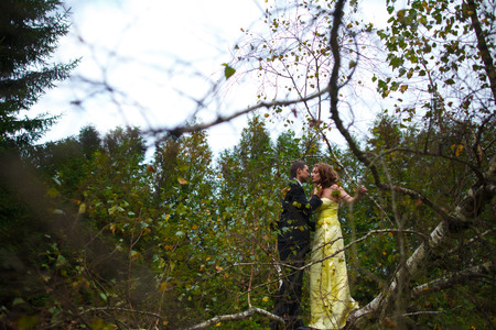 Couple kisses standing on the wide branchesの写真素材
