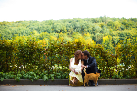 Couple sit kissing on the boarder while a red cat leans to themの写真素材