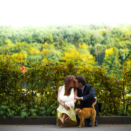 Red cat leans to the man while he kisses a womanの写真素材