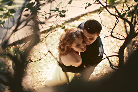 Man and woman daydream under the branches in shiny weatherの写真素材