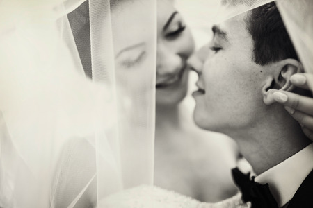Bride embraces groom's neck kissing with him under the veilの写真素材