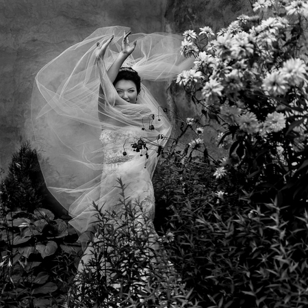Veil flies up to the delicate bride's hands while she stands in the gardenの写真素材