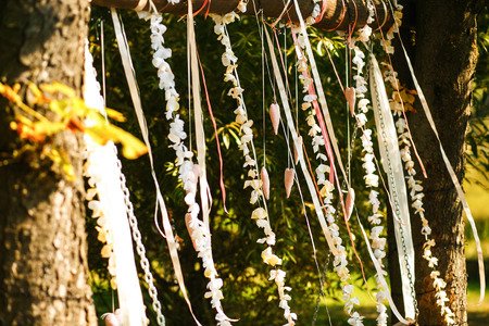 The decorationsの写真素材