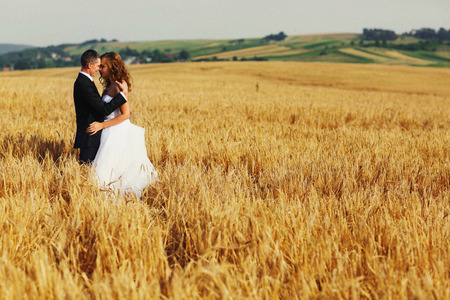 A wedding couple hugs somewhere on the golden fieldの写真素材