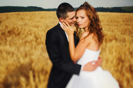 Bride holds groom's face tenderly while he hugs her on the fieldの写真素材