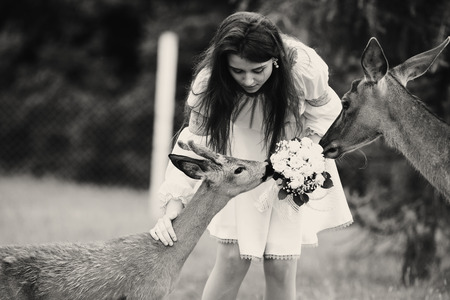 Pretty brunette bride stands between young deers in an open-air cageの写真素材