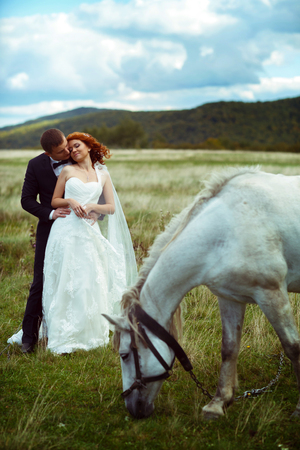 Merry wedding couple pose on a field somewhere over the mountainsの写真素材