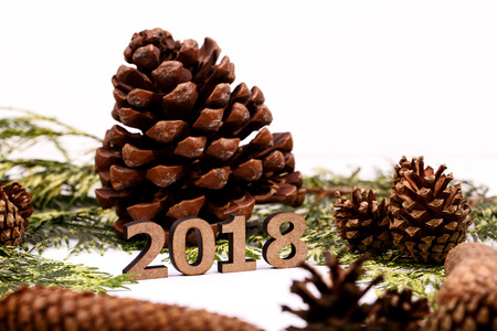 Wooden number 2018 stands before conifer coneの写真素材