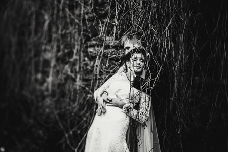 A wedding couple hugs tenderly standing behind dry branches of ivyの写真素材