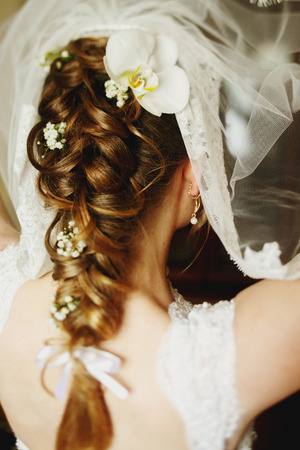 Bride puts on a veil above hair dressed in flowersの写真素材