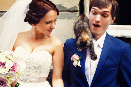 Little cat plays with a boutonniere on groom's jacketの写真素材