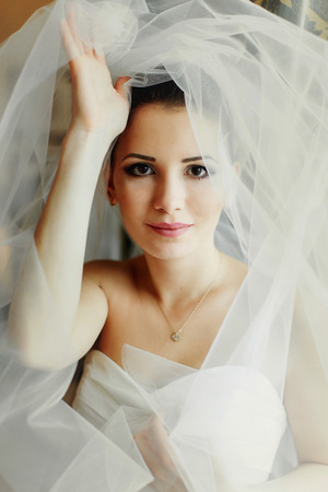 Pretty brunette bride stands under a veil holding it with her handsの写真素材