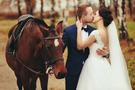 Bride kisses a groom standing behind a horseの写真素材