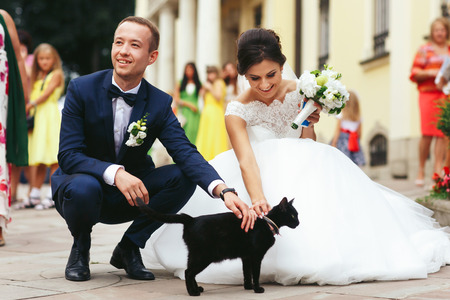 Newlyweds stroke a black cat on the streetの写真素材