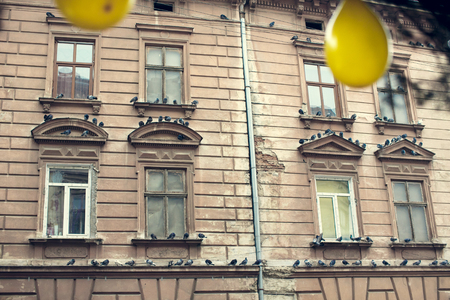 Pigeons sit on the windowsills outside the old houseの写真素材