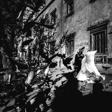 Bride hides behind a dress from the flying pigeonsの写真素材