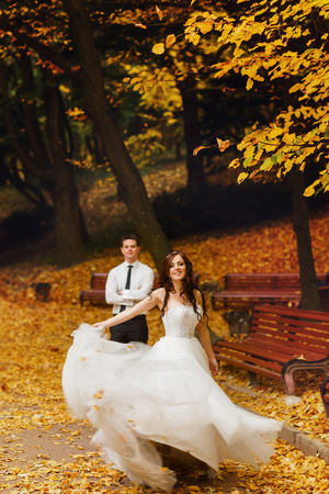 Bride whirls on a pass in a park covered with carpet of golden leavesの写真素材
