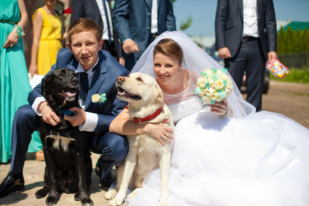 Bride and groom hug black and white dogsの写真素材