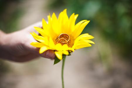 Man holds a yellow flower with wedding rings in it