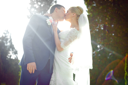 Sun rays cover an elegant wedding couple kissing in the parkの写真素材