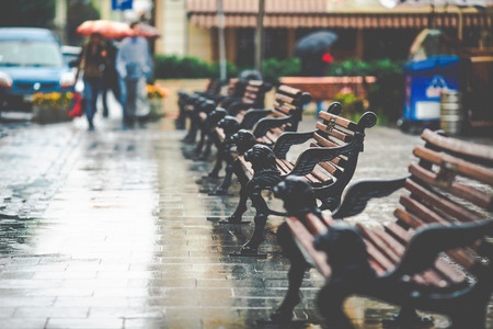 Empty benches with decorative lions stand on the wet streetの写真素材