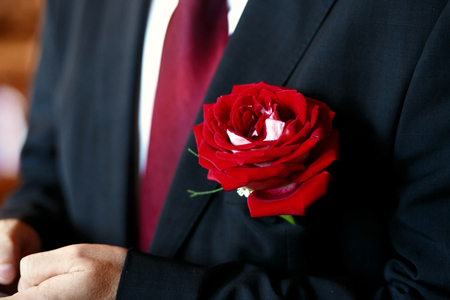Large red rose put into the black jacketの写真素材