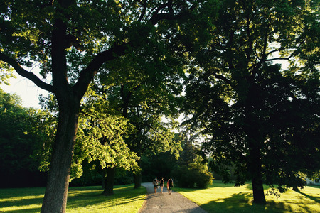 Group of people walks along the path in park