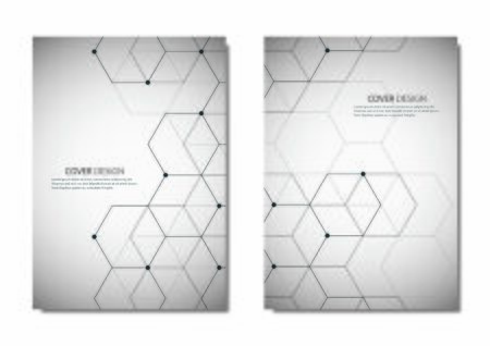 Abstract vector polygonal geometric shape with hexagon backgroundのイラスト素材