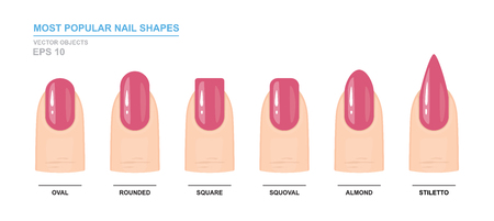 Most popular nail shapes. Different kinds of nail shapes. Manicure Guide. Vector illustrationのイラスト素材