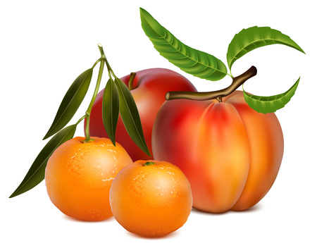 illustration of fruits.のイラスト素材