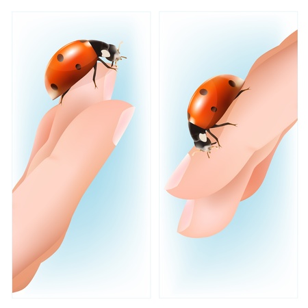 Green concept. Ladybird on the hands.のイラスト素材