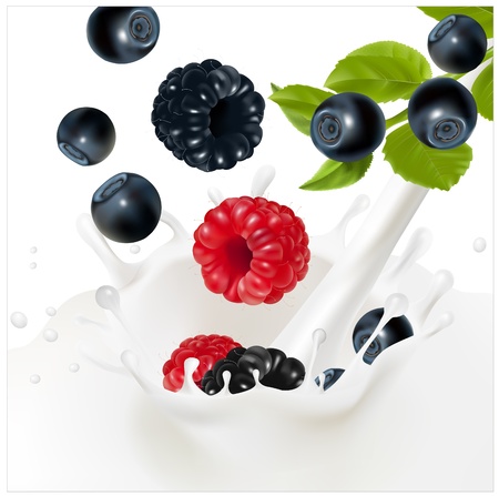 Vector. Ripe forest berries falling into the milky splash. Background for design of packing yogurt.のイラスト素材