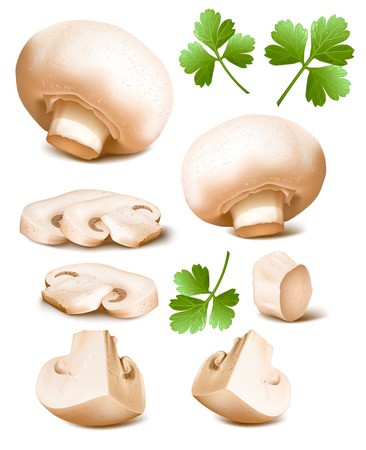 Mushrooms with parsley.のイラスト素材