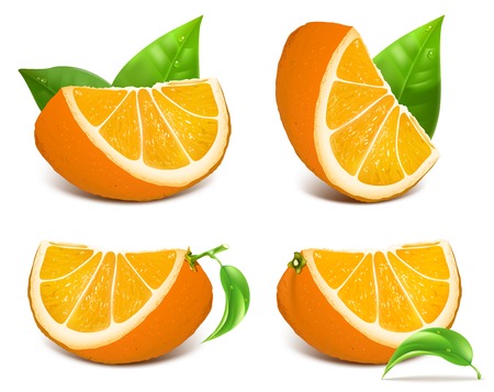 Fresh ripe orangesのイラスト素材