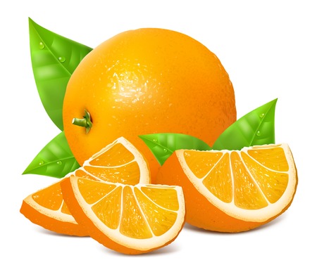 Fresh ripe orangesのイラスト素材