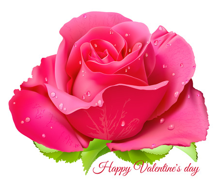 Pink rose. Happy Valentine day. Fully editable handmade mesh. Vector illustration.のイラスト素材