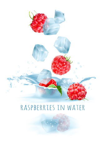 Ripe raspberries and ice cubes falling to water. Vector illustration.のイラスト素材