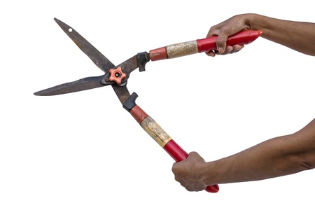 red pruning  shears in white backgroundの写真素材