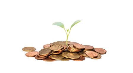 coin pile have born seedling on isolate backgroundの写真素材