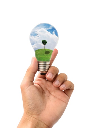 holding lamp of natural on isolate backgroundの写真素材