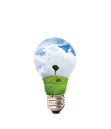 lamp of natural on isolate backgroundの写真素材