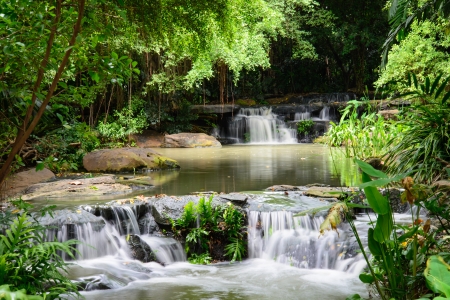 Waterfall and forestの写真素材