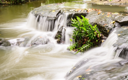 Waterfallの写真素材