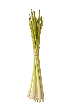 Lemon grass on isolate white backgrondの写真素材