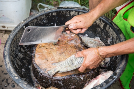 A Man Killing a fishの写真素材