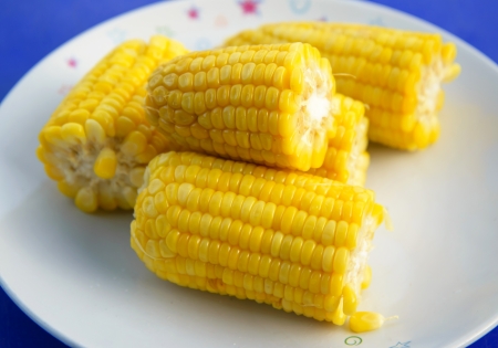 Steam cornsの写真素材