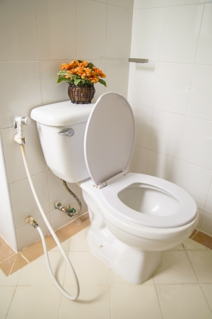 Toiletの写真素材
