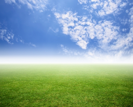 grass field with sky nobodyの写真素材