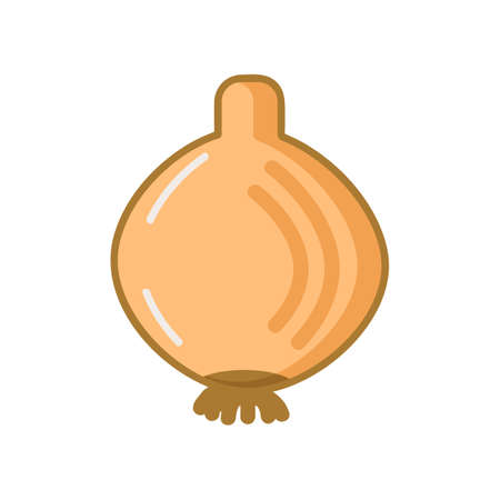 onion head ripe juicy healthy fresh natural foodのイラスト素材